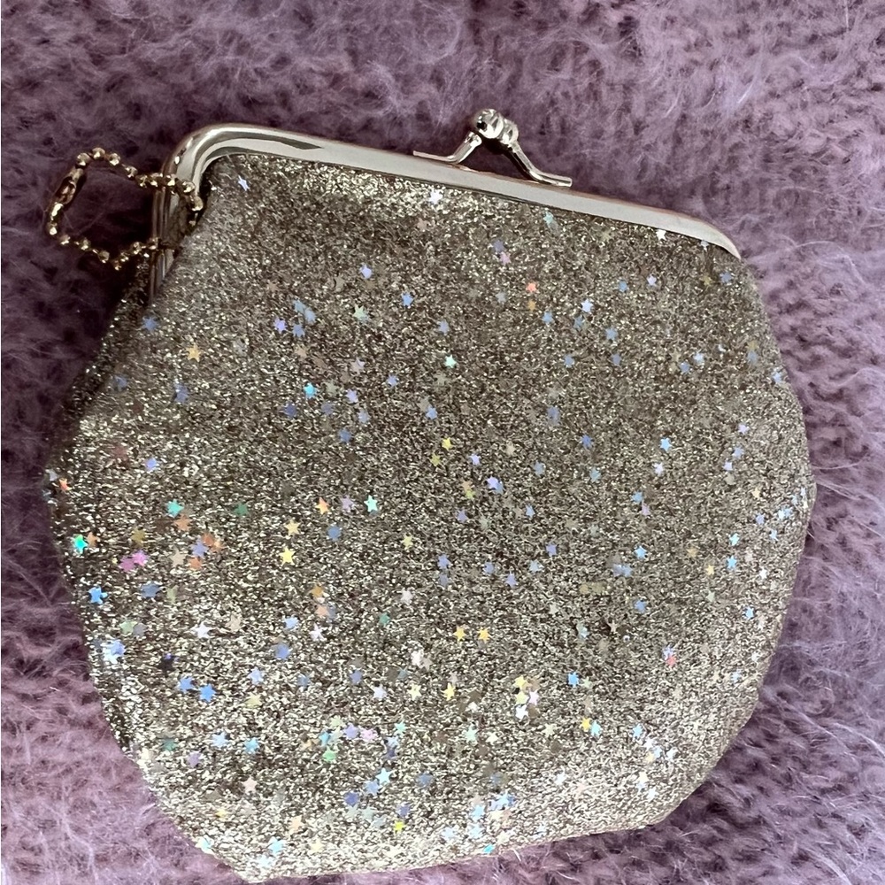 Coin or evening bag small